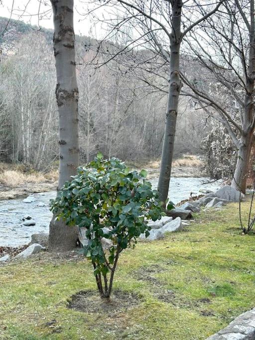 Acogedor Alojamiento En Martinet, Cerdanya, Puigcerda Exterior foto
